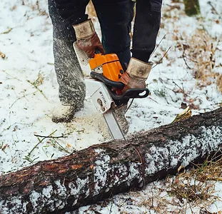 Abattage Illustration