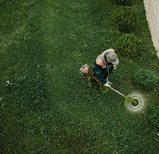 Débroussaillage Illustration