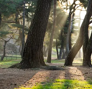 Elegage Illustration